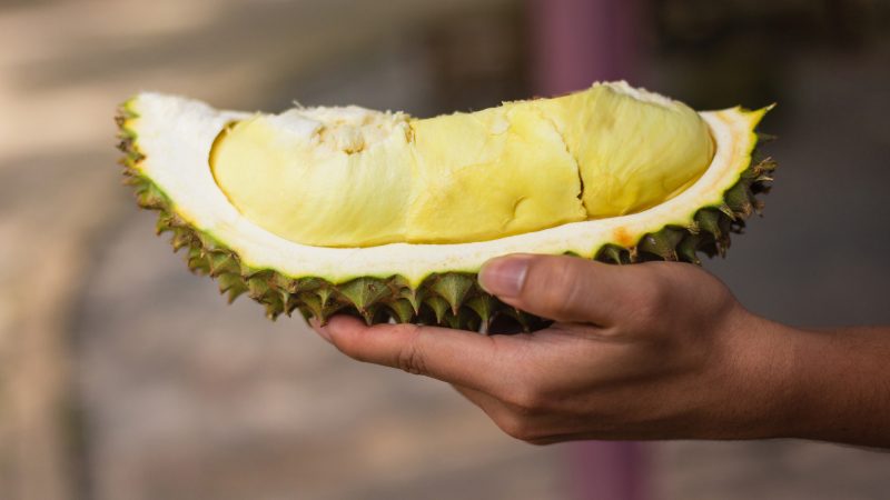Unlock the Aromatic Delights: Have the Finest Durians Delivered Anywhere, Anytime