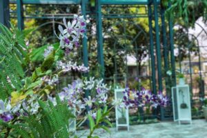 Santiago Celebra la Inauguración del Mayor Orquideario del Caribe en su Jardín Botánico