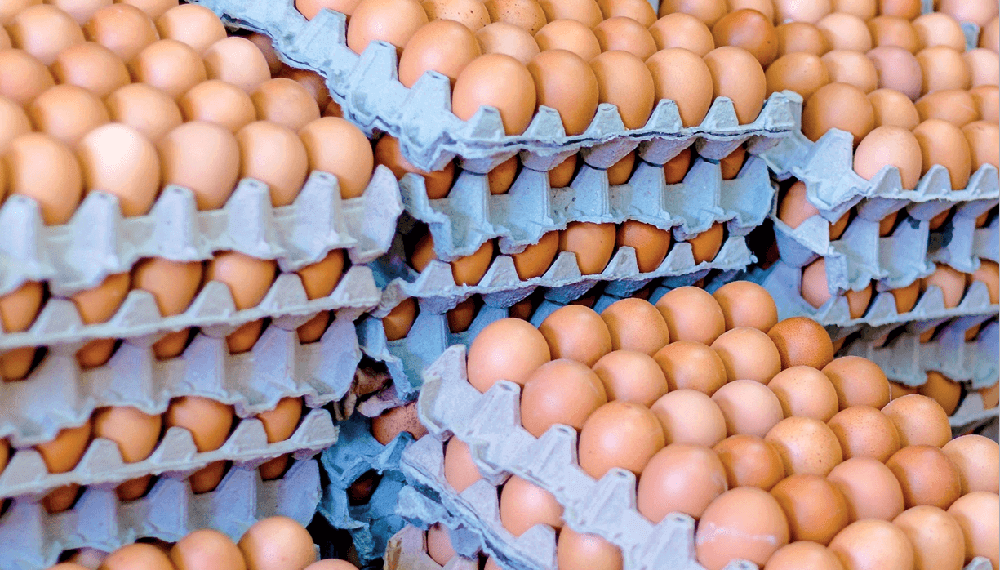 El Precio de los Huevos en Ascenso: Una Tormenta Perfecta de Factores Nacionales e Internacionales