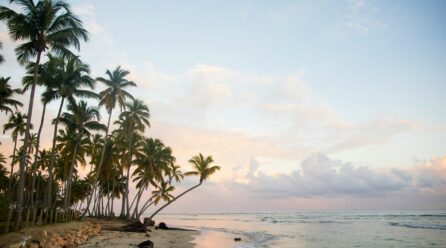 La Ocupación Hotelera en los Principales Destinos Turísticos de la República Dominicana Supera el 90% Durante la Semana Santa
